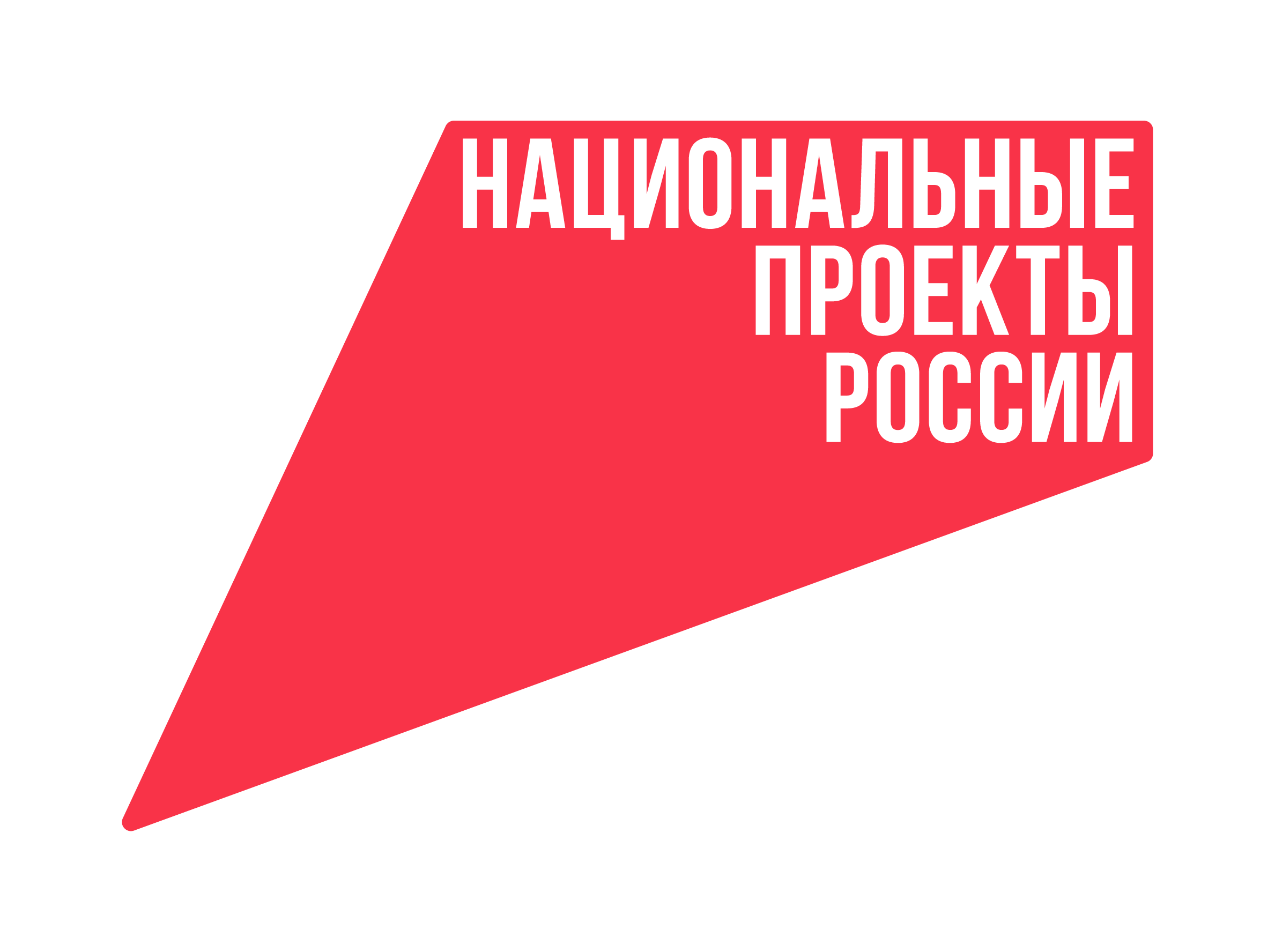 В этом году подходят к своему завершению действующие национальные проекты России.