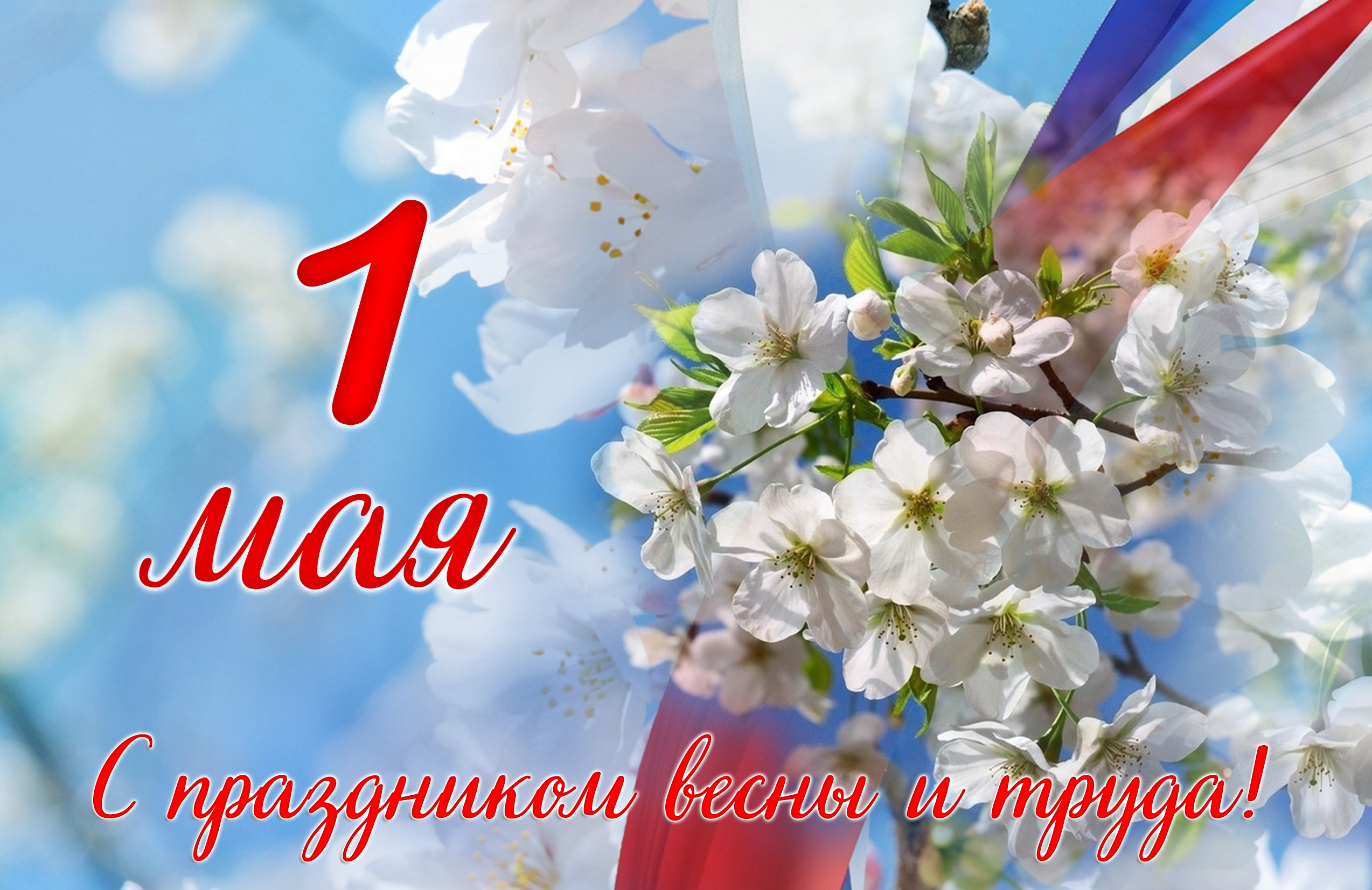 1 мая.