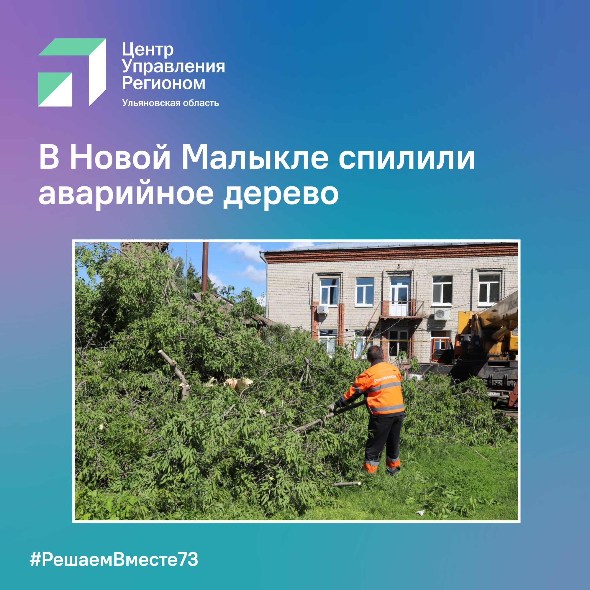 В Новой Малыкле спилили аварийное дерево.