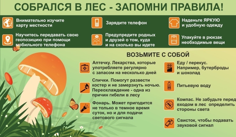 Советы как не заблудиться в лесу.