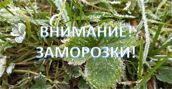Ожидается «оранжевый» уровень опасности.