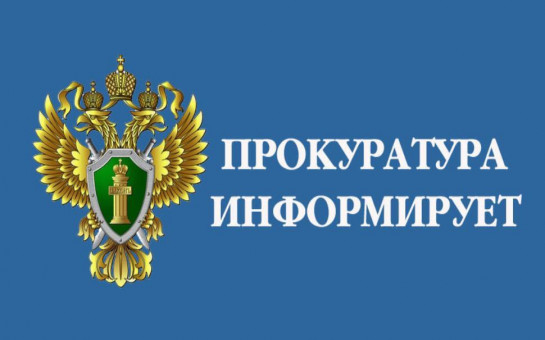 ПРОКУРАТУРА  НОВОМАЛЫКЛИНСКОГО РАЙОНА ИНФОРМИРУЕТ.