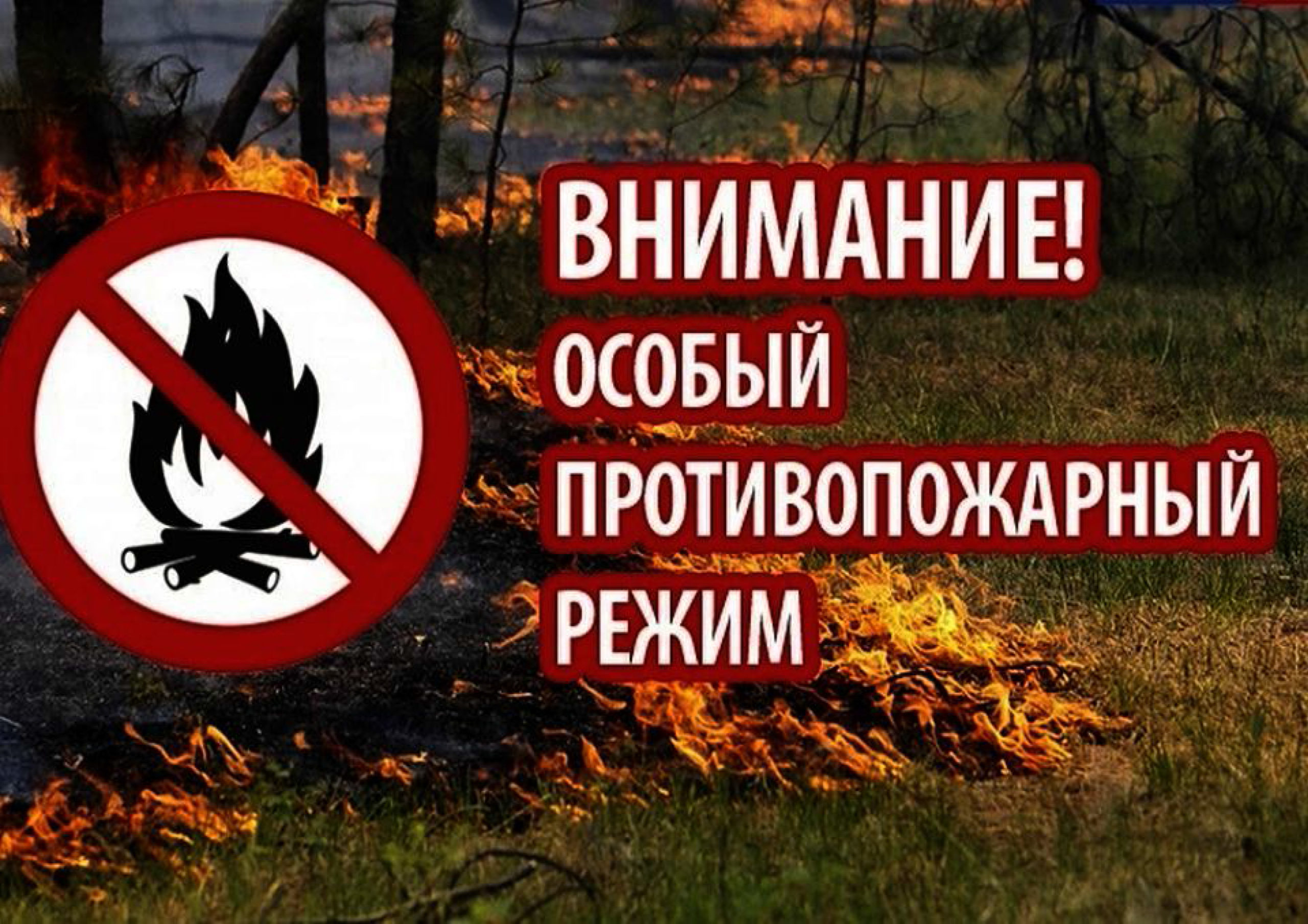 Вниманию жителей Ульяновской области! .