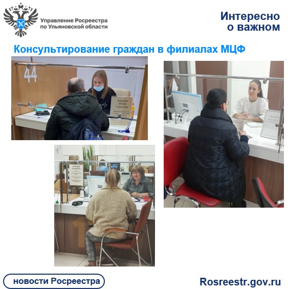 «Консультирование граждан в филиалах МЦФ». «Консультирование граждан в филиалах МЦФ».