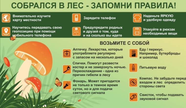 Советы как не заблудиться в лесу. Советы как не заблудиться в лесу.